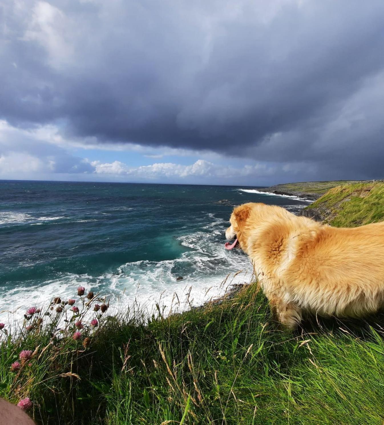 Rose Meadow Lodge Liscannor Luaran gambar