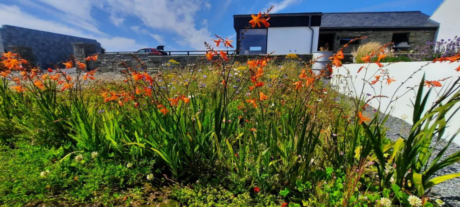 Rose Meadow Lodge Liscannor Luaran gambar